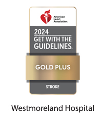 2024 AHA GWTG Stroke Gold Plus - WH