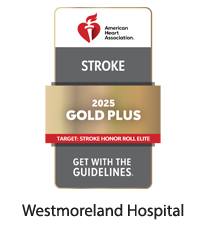 Westmoreland Hospital Gold Plus Badge for Stroke Care
